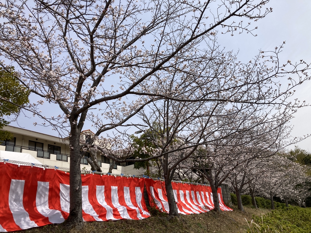 hanami202504a